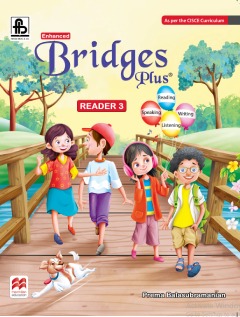 New Bridges Plus